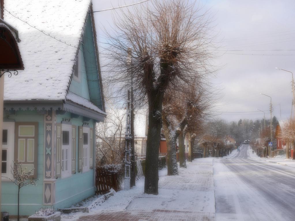 Białowieża Stoczek 1929 Bed & Breakfast エクステリア 写真
