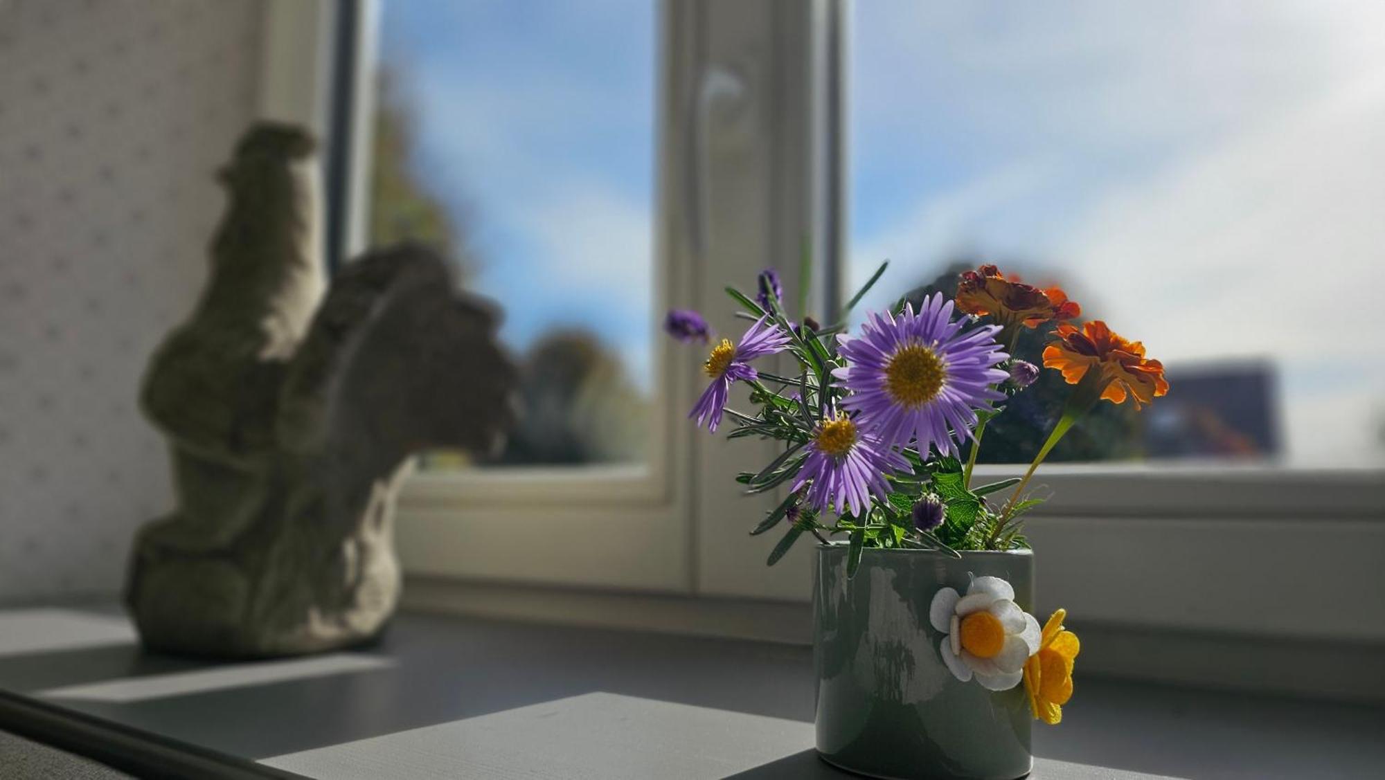 Białowieża Stoczek 1929 Bed & Breakfast エクステリア 写真