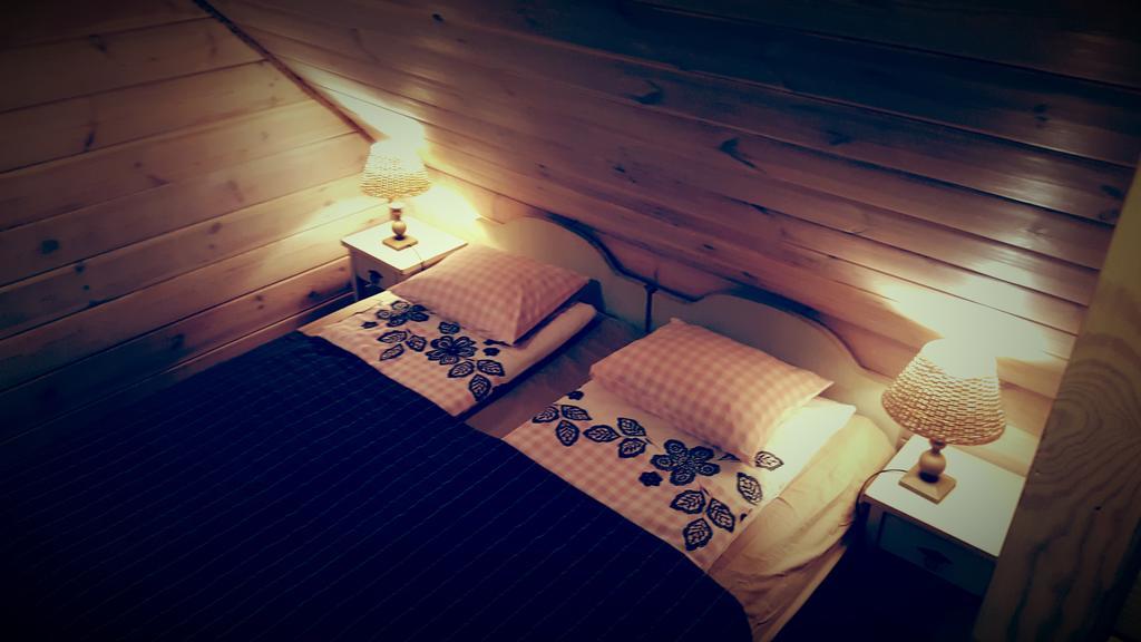 Białowieża Stoczek 1929 Bed & Breakfast エクステリア 写真